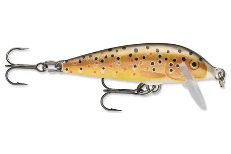 RAPALA CD05 TR Zlevněný