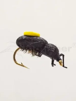 Kingfisher Peacock vel.10 Poslední Šance