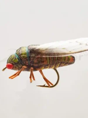 Kingfisher Cikáda Olive vel.4 Akce