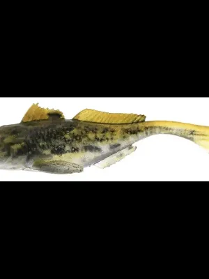 Westin Westin – Gunnar The Goby 8cm Autentický