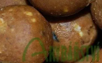 Sezónní Sleva CARP INFERNO Boilies 20 mm 1 kg Monster Liver