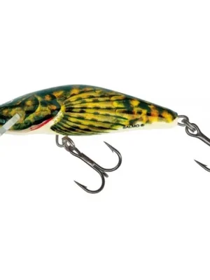 Nejlepší Cena Wobler Salmo Bullhead 04 F BD