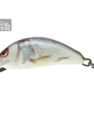 Wobler Salmo Hornet 3,5cm Sinking Real Dace Objednat Nyní