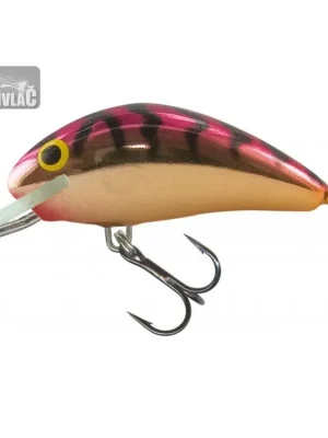 Wobler Salmo Hornet 5cm Floating Viking Pouze Dnes