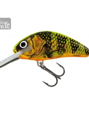 Autentický Wobler Salmo Hornet Super Deep Runner 4cm Gold Fluo Perch