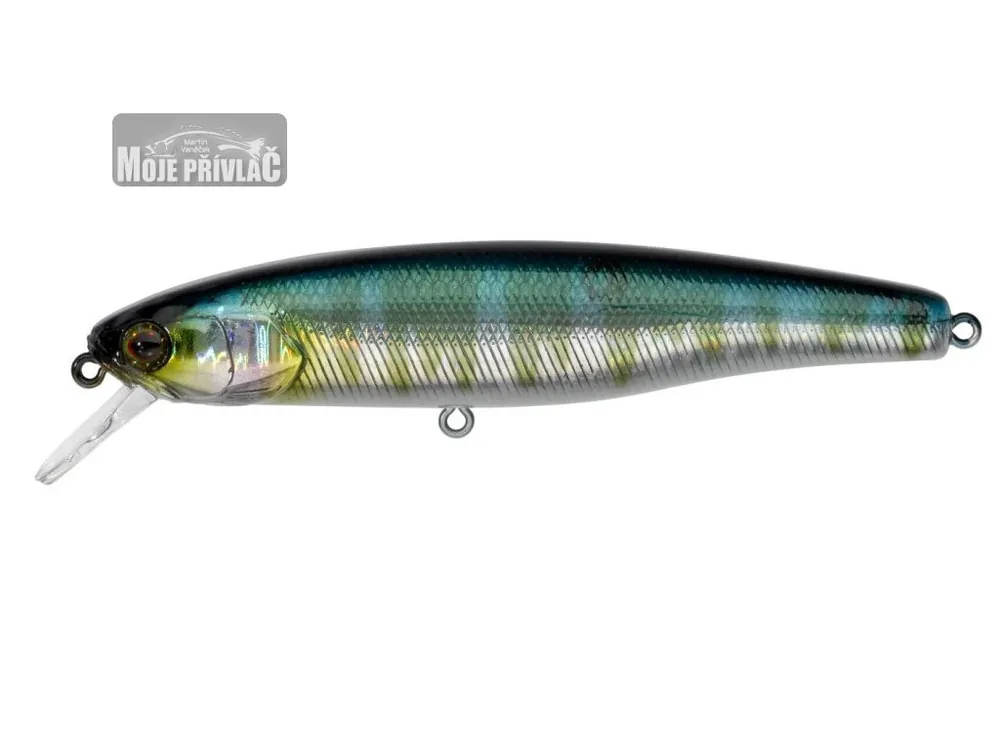 Nejlepší Volba Wobler ILLEX Arnaud 100mm Floating HL Hasu