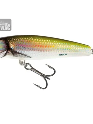 Wobler Salmo Minnow 5cm Floating Holo Bleak Přímo Od Výrobce
