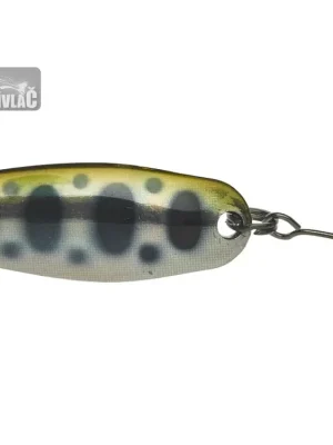 Plandavka Illex Native Spoon 14g 58mm Yamame Odeslání Ihned