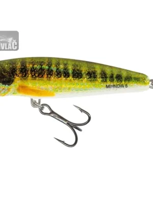 Super Cena Wobler Salmo Minnow 6cm Floating Holo Real Minnow