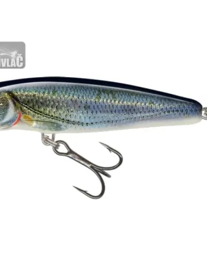 Časově Omezené Wobler Salmo Minnow 6cm Sinking Spirlin