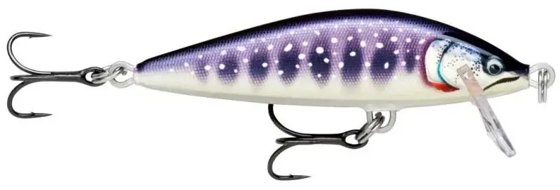 Nejlepší Volba Rapala Count Down Elite 75 GDIW