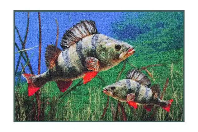 DELPHIN Rohož 3D okouni - 60x40cm Výhodná Nabídka