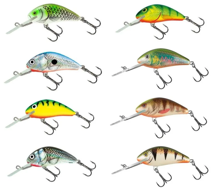 Kup Teď Wobler Salmo Hornet 6,0cm F plovoucí