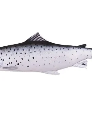 Polštář Pstruh mořský - 51cm Nejprodávanější