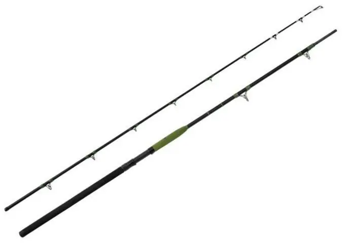 Akce Prut Delphin ENERGY Catfish 2,50m 250-500g