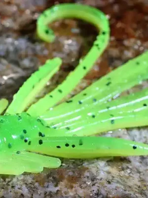 Nymfa RedBass X 100mm - Fluo Green RH UV Nová Kolekce