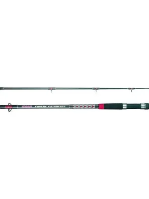 Hit Sezóny Prut MIVARDI Fanatic Catfish 240 2,4m/200-400g