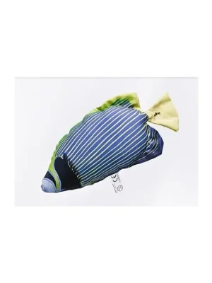 Víkendová Akce Pomec císařský mini (pomacanthus imperator) - 32 cm polštářek