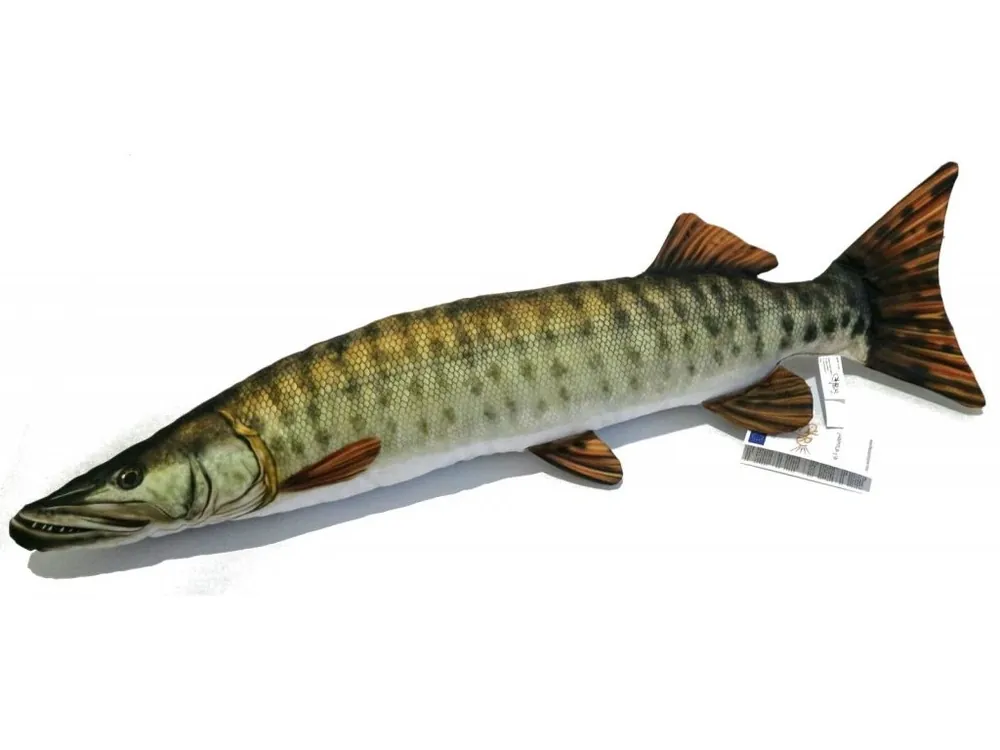Štika muskalunga (americká) - 80 cm polštářek Expresní Doručení