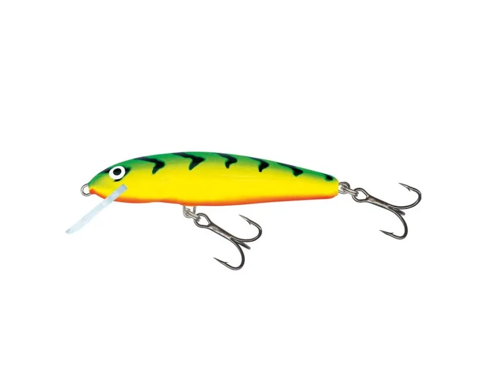 Wobler Salmo MINNOW-GT Získejte slevu -5% za registraci v e-shopu Velikost M5S 5cm Ihned K Objednání