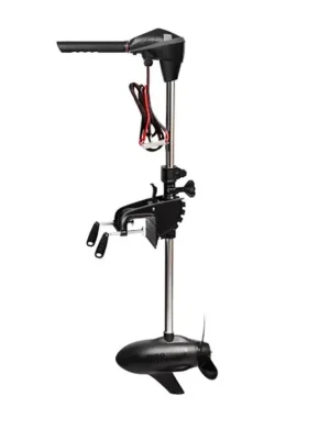 Levný Elektromotor RHINO BLX 80 V2 12V