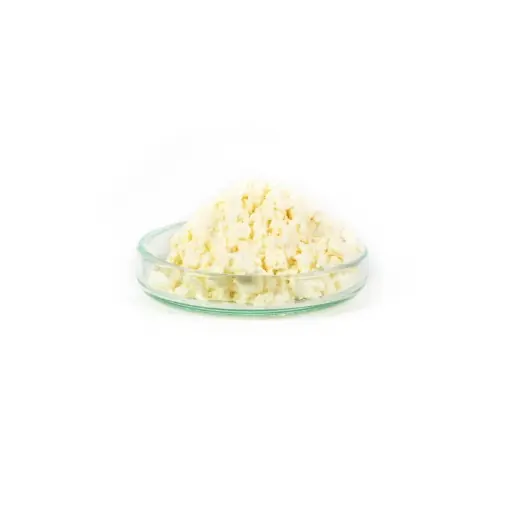 Nejprodávanější Mikbaits Vaječný Albumin 250g