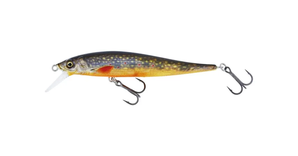 Značkový Westin Wobler Jerkbite SR Jerkbait 7,5cm 5g Suspending Brook Trout Fry
