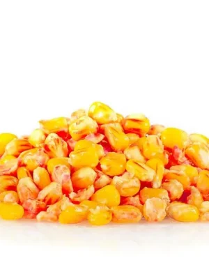 Poslední Šance Sportcarp Nakládaná kukuřice Chilli Fruit 2,5kg