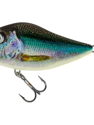 Cenový Hit Salmo Wobler Slider Sinking 12cm 70g Holo Smelt