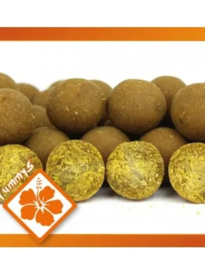 Imperial Baits Carptrack Boilie - Osmotic Oriental Spice - 24mm Nejlepší Volba