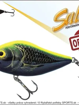 Koupit Online Salmo rybářské woblery SLIDER SD5F barva CK