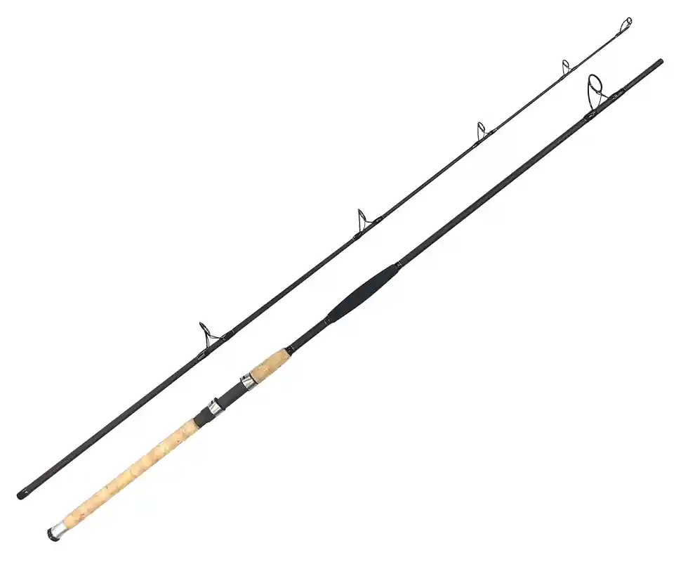 Vrácení Zdarma Zfish Prut Catfish Morga 2,70m/100-400g