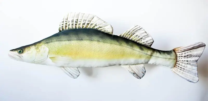 Dekorační polštář - Candát 77cm Sleva
